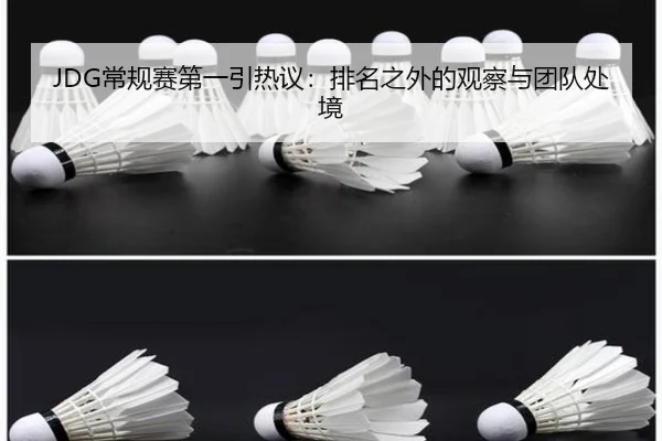JDG常规赛第一引热议：排名之外的观察与团队处境