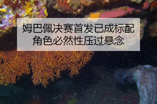 mu-ba-pei-jue-sai-shou-fa-yi-cheng-biao-pei-jue-se-bi-ran-xing-ya-guo-xuan-nian-2-143.jpg